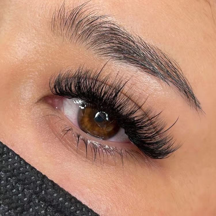 hybrid lashes